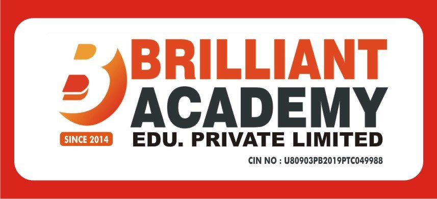 BRILLIANT ACADEMY